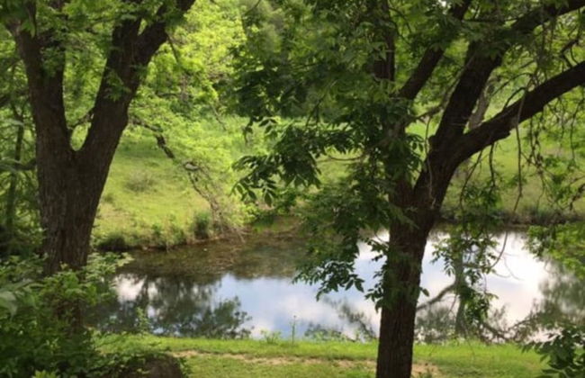 Frio Springs Lodges - Photo 47