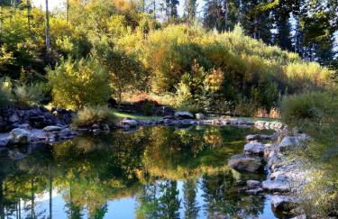 Chalet am kleinen See - Foto 60