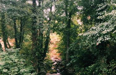 Casa rural Las Mareas - Foto 29