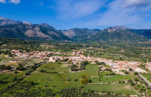 Duplex Can Roses - Photo 31