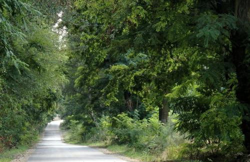 Godzisz - domek rekreacyjny - Foto 39