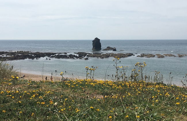 Pear Tree Cottage in South Milton - Foto 19