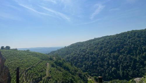 Au Cœur des Vignes - Foto 4
