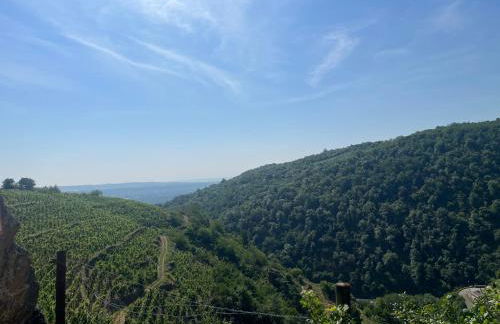 Au Cœur des Vignes - Foto 4
