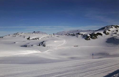 Ponyhof Schöllang - Foto 34