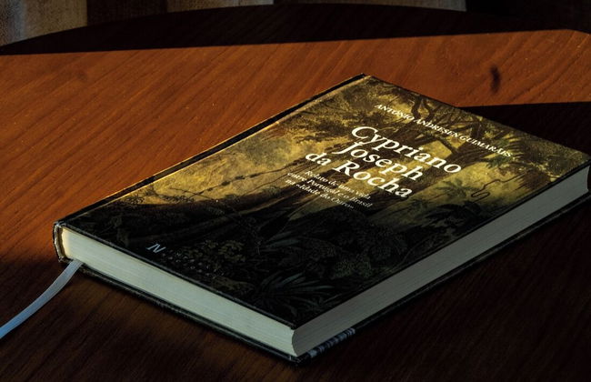 Quinta de Cypriano - Wine & Nature - Foto 26