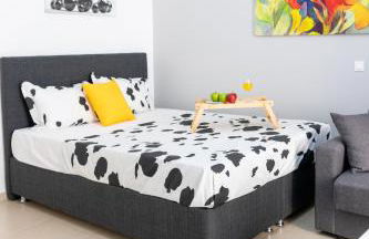 C3 Modern Spartan Apartment - Foto 6