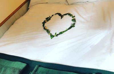 The Owls Rest Shepherds Hut Hethel - Foto 13