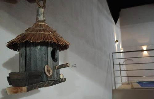 Piscina Aquecida Placa Solar, Ar condicionado Casa Inteira,Caminhos da Canastra - Foto 8