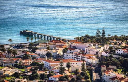 O DRAGOEIRO da Madalena! - Foto 47