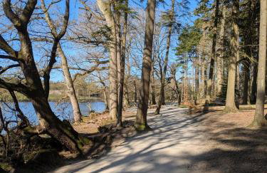 Lady Hill, Royal Hillsborough - Foto 17