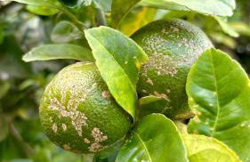 Casa Refúgio Cataratas by Grasi - Foto 57