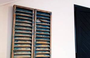 Lazy Lizard Studio - Foto 39