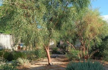 Latmos 1860 - Foto 18