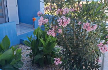 Filia Apartments - Foto 26