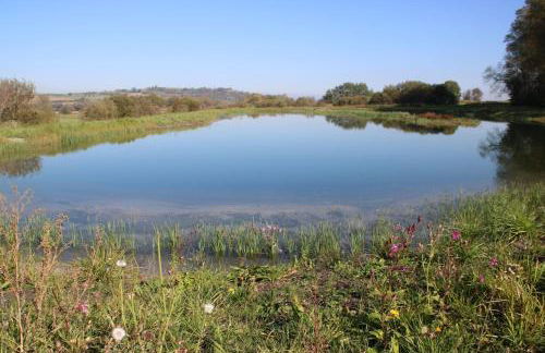 Studio im Grünen und Bodenseenähe - Foto 21