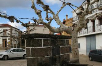 Apartamentos Rurales Sierra de Béjar - Foto 43