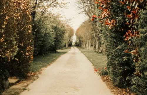 Tredethick Farm Cottages - Foto 26