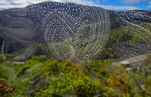 cabaña do rei - Foto 9