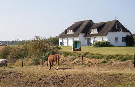 Haus Bräätlun Ferienwohnung Bräätlun 4 - Photo 58