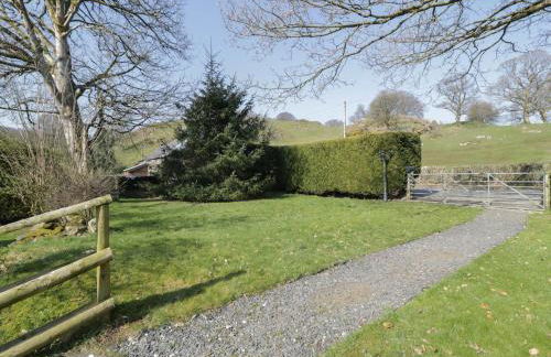 Old Ty'n Y Wern - Foto 27