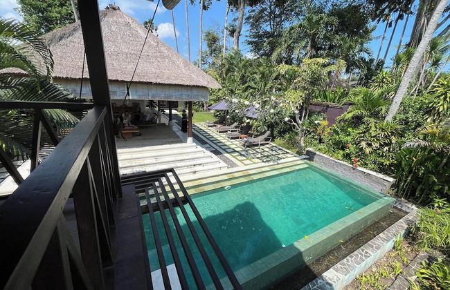 Tamu Seseh - Photo 32