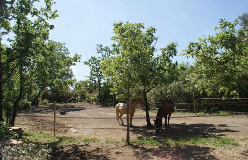 Le Domaine de Jaïba - Foto 19