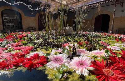 Villa Il Sole - Foto 68