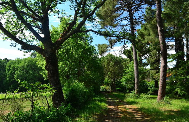 Scenic Escape in the Chianti - Photo 25