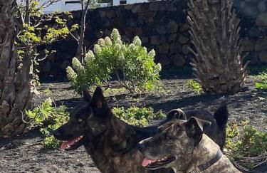 Casa Kira Camarote, Macher - Foto 12