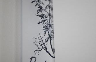 Casa da Cisaltina - Photo 129