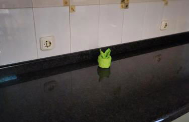 Casa la Bufona - Foto 74