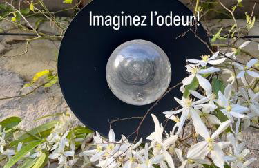 GITE COCOTTE - Foto 14