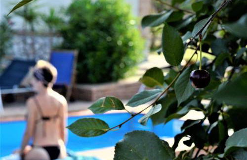 Residence Cassiodoro - Photo 22