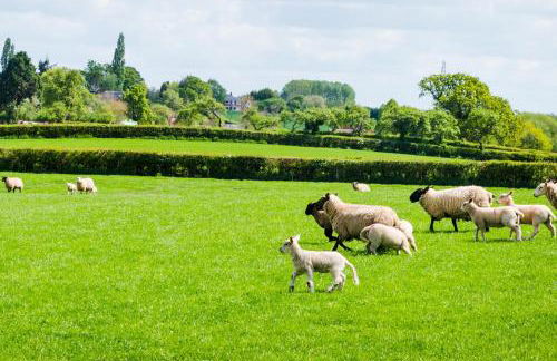 Rowley Farm Holidays - Foto 32