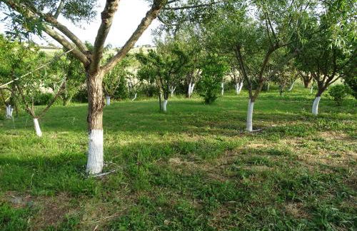 MELENIOS HOUSES - Foto 21