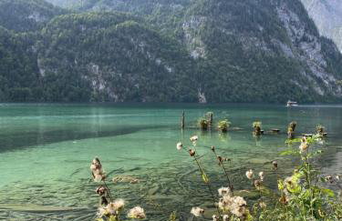 Salinenblick - Photo 48