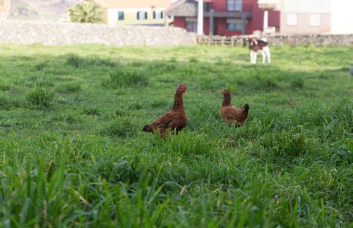 Casa do Galante - Photo 20