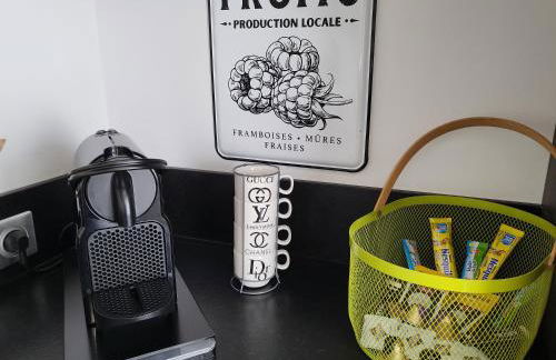 Gîte Unique Le Caijonet proche de Disneyland, Aeroport CDG, Paris - Foto 23