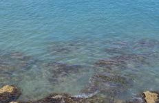 Apartamento Coral - Photo 38