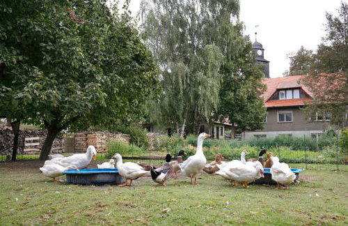 Ferienwohnung Shaun - Foto 27