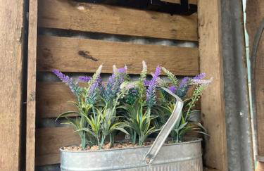 Bridie -rose with wood tub country retreat mini zoo - Foto 54