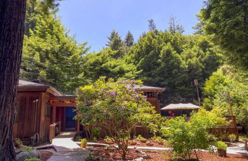 Serenity Grove - Foto 4