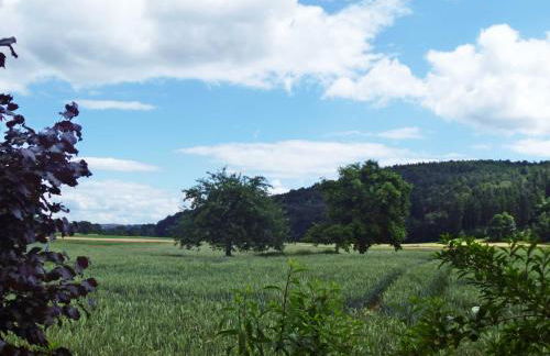 Ferienwohnung Bergblick - Foto 11