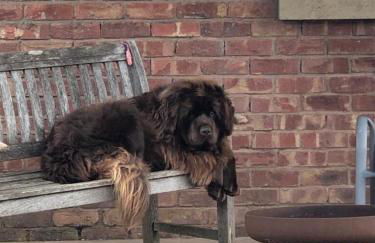 Strawberry Fields - Foto 13