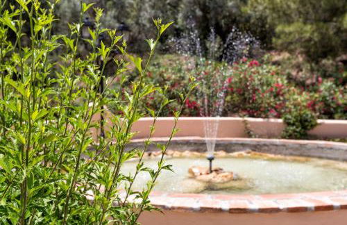 Elviria Apartment - Photo 31