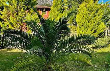 La Coqueta Del Sueve - Photo 64