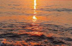 House le Ancore - Foto 48