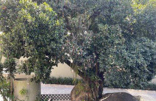 Apartamento Orla Praia do Canto - Foto 20