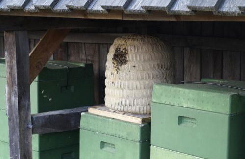 Ferienhaus Wahlers - Foto 45